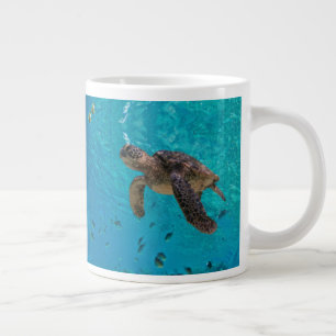 Grande Tasse Tortues marines