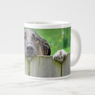 Grande Tasse Un berger allemand regarde la clôture