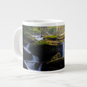 Grande Tasse Waterfalls   Great Smoky Mountain National Park