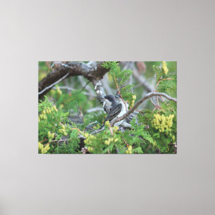 Grande toile d'oiseaux gris