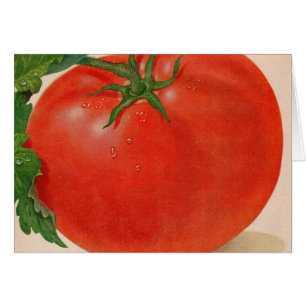 grande tomate juteuse BIG
