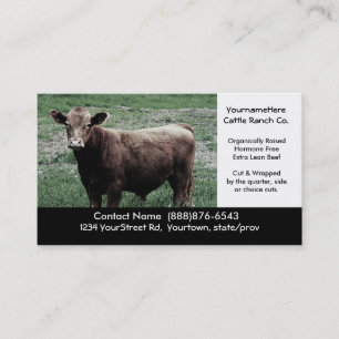 Grande vache Brown - carte de ferme ou