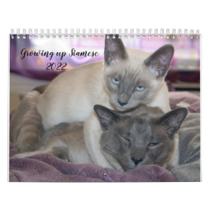 Grandir dans le calendrier siamois