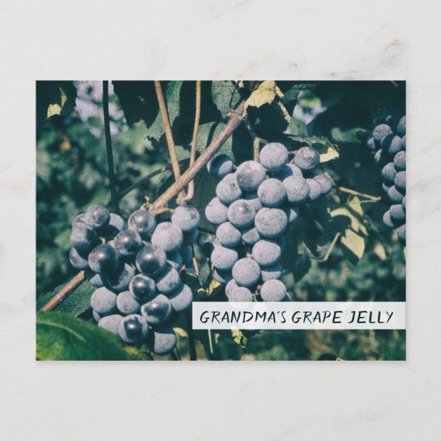 Grandma's Grape Jelly Rezept Lila Trauben Marmelad Postkarte (Vorderseite)