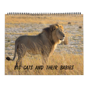 GRANDS CHATS ET LEUR CALENDRIER DE BÉBÉS