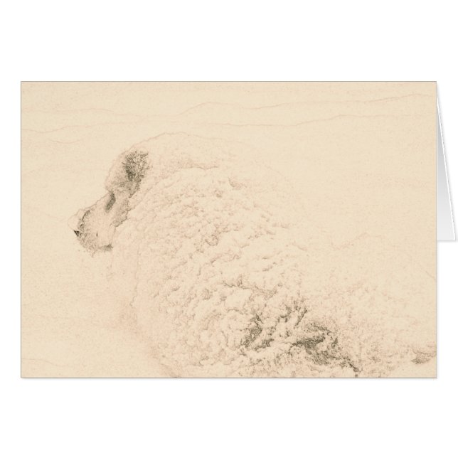 Grands Pyrénées, série #1 de chien de neige (Devant horizontal)
