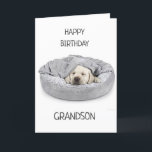 GRANDSON AM GEBURTSTAG! KARTE<br><div class="desc">VIELEN DANK FÜR DAS STOPPEN EINES MEINER ACHT GESCHICHTEN!!!</div>
