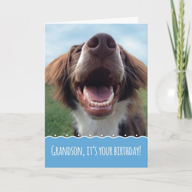 Grandson Birthday, glücklicher Hund mit großem Läc Karte (Vorderseite)