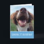 Grandson Birthday, glücklicher Hund mit großem Läc Karte<br><div class="desc">Ein Geburtstag zu feiern ist etwas,  worüber man lächeln kann,  und dieser glückliche Hund wird Ihrem Enkel ein großes Lächeln ins Gesicht bringen. Dieses bezaubernde,  sorgenfreie Jungtier ist ein brauner und weißer Spaniel,  der vor dem Unterschlupf gerettet wurde. Sie genießt jetzt grünes Gras,  blauen Himmel und viele glückliche Geburtstage.</div>