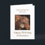 Grandson Birthday, Orang Utan Karte<br><div class="desc">Give your grandson a cheeky monkey of a birthday card. Birthday card for your very own top banana! Auf Babyorangutan looking.</div>
