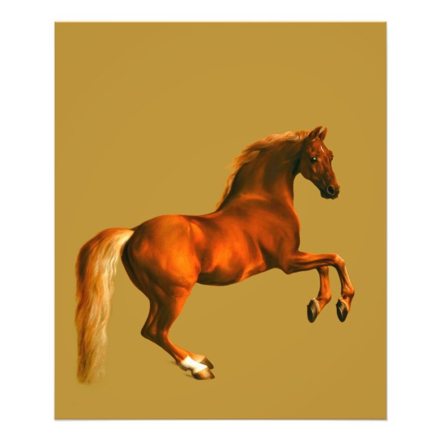 Grandson der Godolphin Arabian Fotodruck (Vorne)