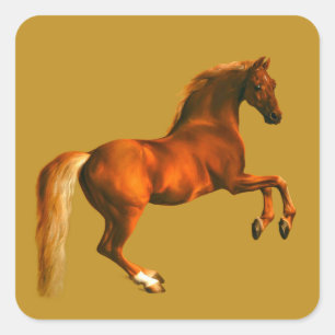 Grandson des Godolphin Arabian, Whistlejacke Quadratischer Aufkleber