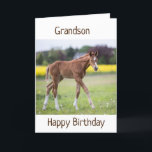 *GRANDSON* IHR GEBURTSTAG IST EIN SONDERTAG KARTE<br><div class="desc">VIELEN DANK,  DASS WIR VON 1 MEINER 8 GESCHÄFTE GESCHAFFEN HABEN!</div>