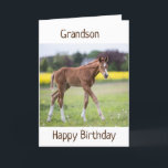 *GRANDSON* IHR GEBURTSTAG IST EIN SONDERTAG KARTE<br><div class="desc">VIELEN DANK,  DASS WIR VON 1 MEINER 8 GESCHÄFTE GESCHAFFEN HABEN!</div>