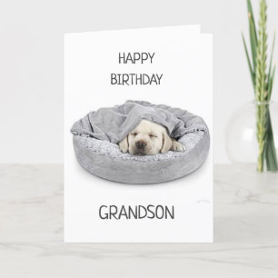 GRANDSON L'ANNIVERSAIRE ! CARTE