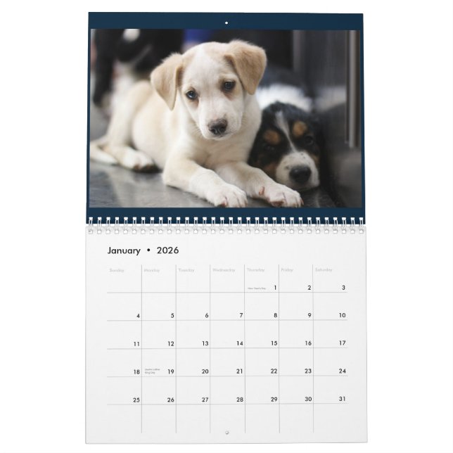 Granit-Hügel-Tierpflegekalender 2015 Kalender (Jan 2026)