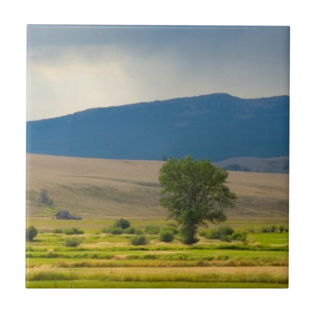 Granite County Montana Fliese (Vorderseite)