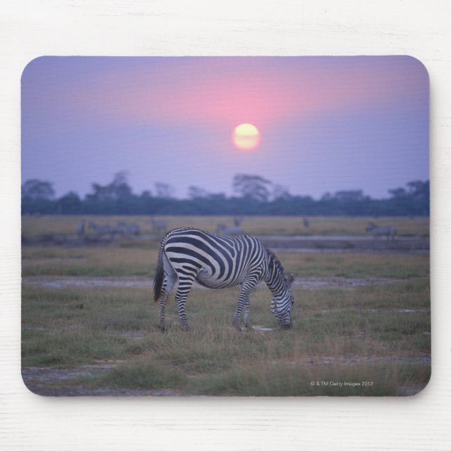 Grant Zebra 3 Mousepad (Vorne)