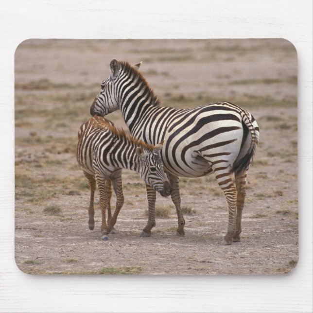 Grant Zebra 3 Mousepad (Vorne)