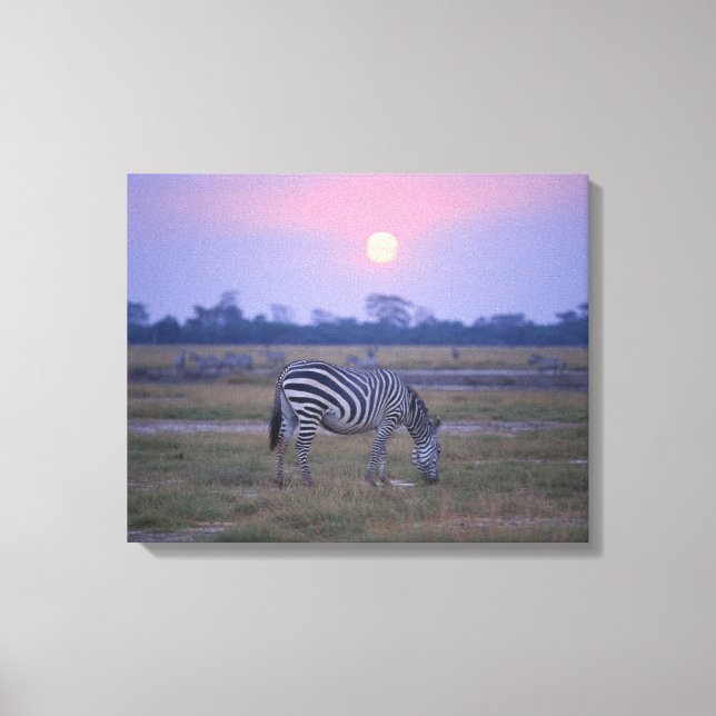Grant Zebra 4 Leinwanddruck (Vorderseite)