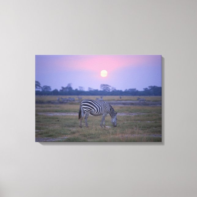 Grant Zebra 4 Leinwanddruck (Vorderseite)