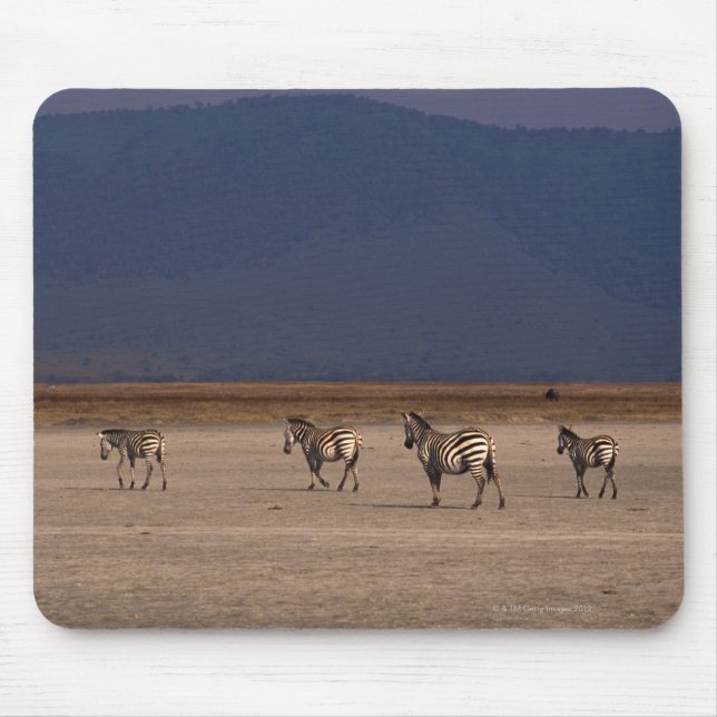 Grant Zebra Mousepad (Vorne)