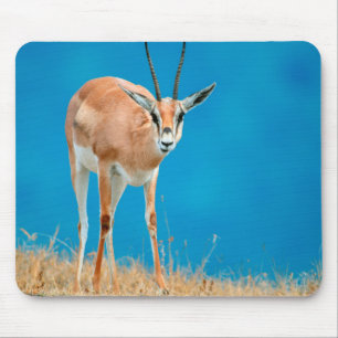 Grant's Gazelle (Gazella Granti) Ewe Portrait Mousepad