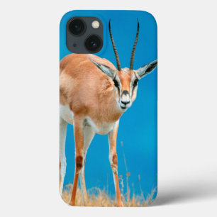 Grants Mutterschaf-Porträt Gazellen-(Gazella iPhone 13 Hülle
