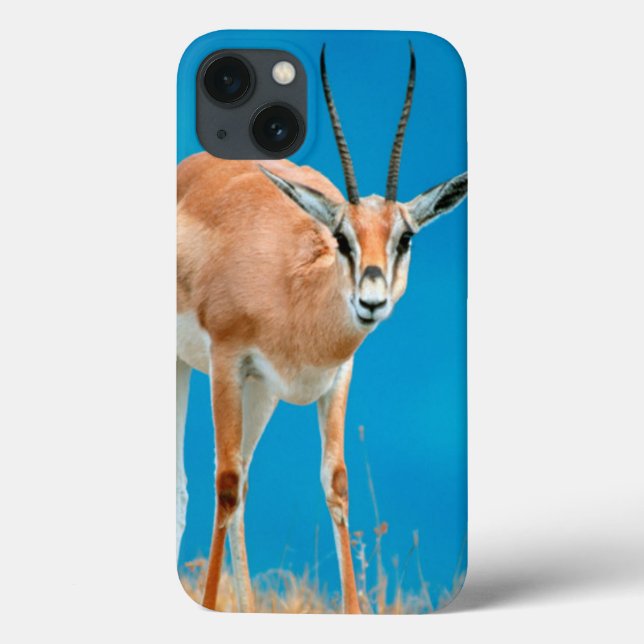 Grants Mutterschaf-Porträt Gazellen-(Gazella Case-Mate iPhone Hülle (Rückseite)
