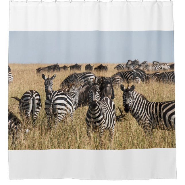 Grant's Zebra Duschvorhang (Vorderseite)