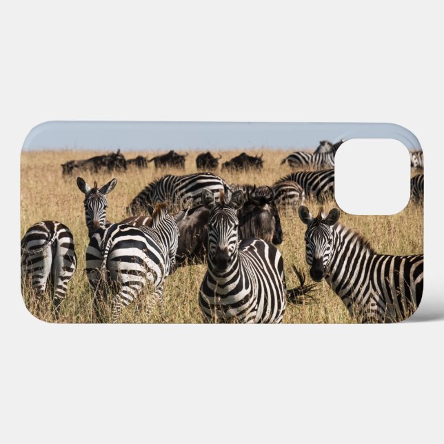 Grant's Zebra iPhone 13 Fall Case-Mate iPhone Hülle (Rückseite (Horizontal))