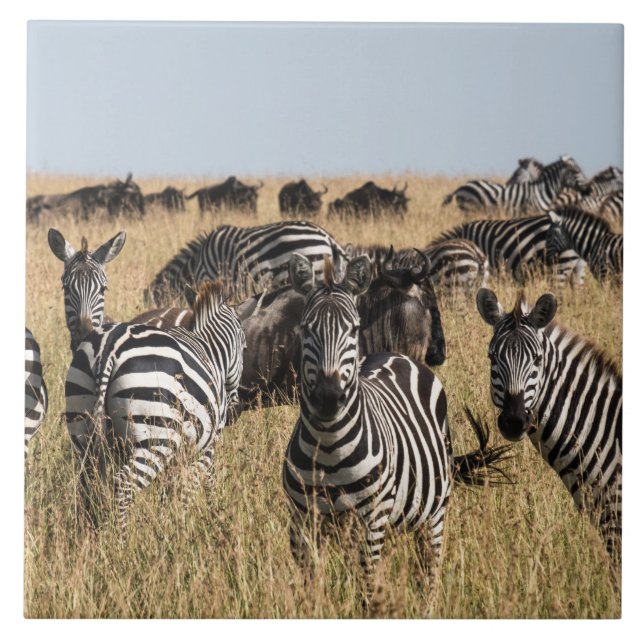 Grants Zebra-Keramik-Tile Fliese (Vorderseite)
