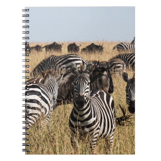 Grants Zebra-Notebook Notizblock (Vorderseite)