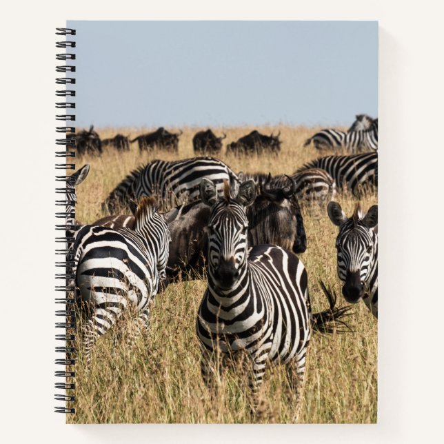 Grant's Zebra Notizbuch (Vorderseite)