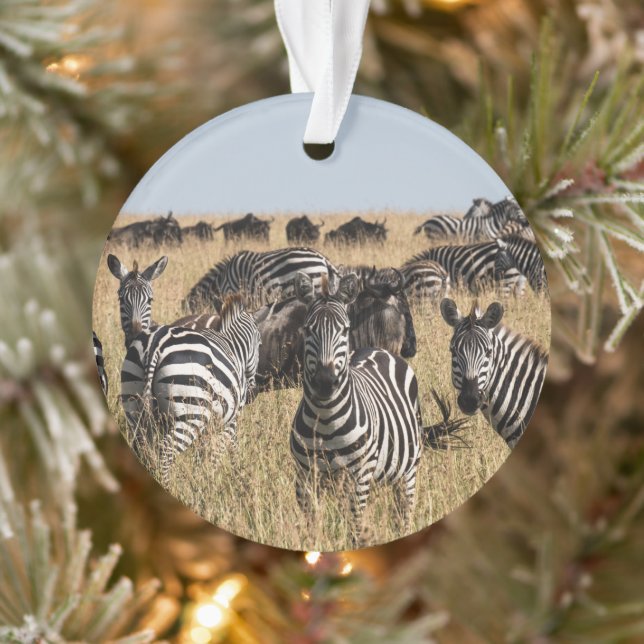 Grant's Zebra Ornament (Baum)