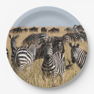 Grant's Zebra Pappteller