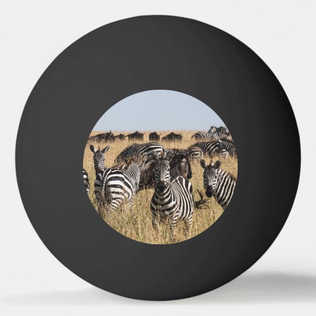 Grant's Zebra Tischtennisball (Vorderseite)
