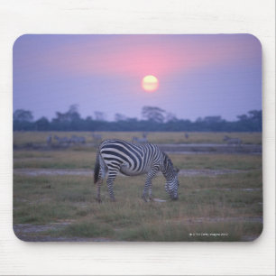 GrantZebra 3 Mousepad