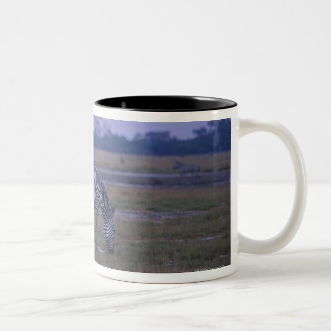GrantZebra 3 Zweifarbige Tasse (Rechts)