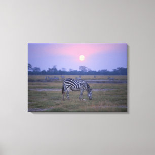 GrantZebra 4 Leinwanddruck