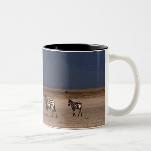 GrantZebra 4 Zweifarbige Tasse (Rechts)