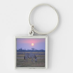 GrantZebra 6 Schlüsselanhänger