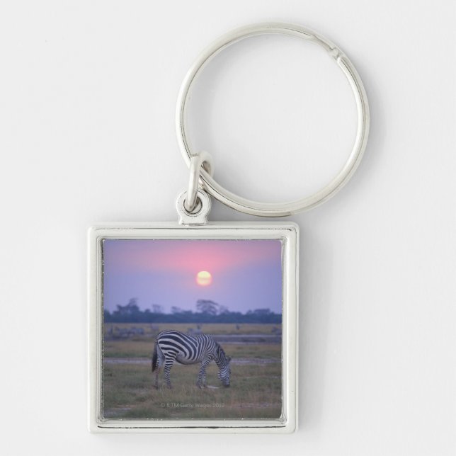 GrantZebra 6 Schlüsselanhänger (Vorne)
