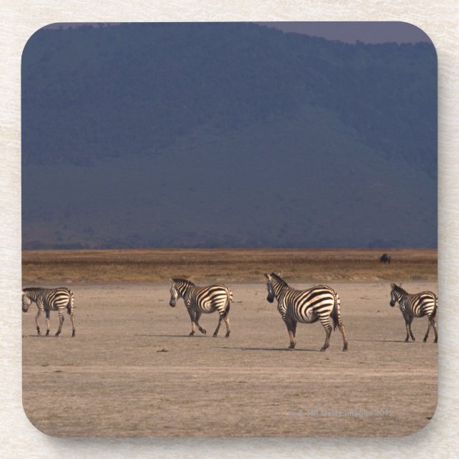 GrantZebra Untersetzer (Vorderseite)