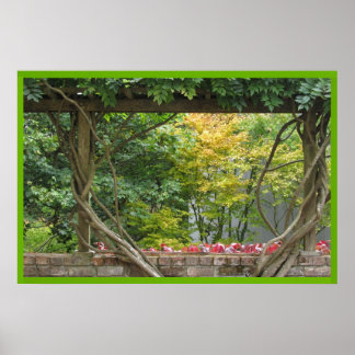 Grap Vineyard Poster