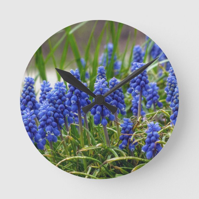 Grape Hyacinth Runde Wanduhr (Vorderseite)