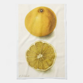Grapefruit Küchentuch