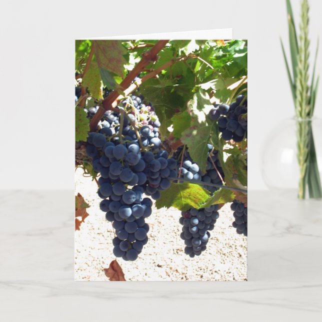 Grapes de cartes (Devant)