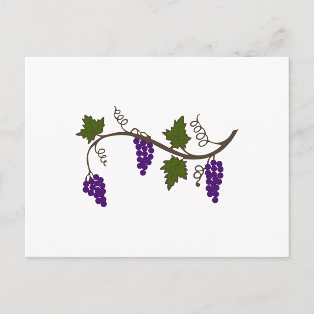 GRAPEVIN POSTKARTE (Vorderseite)