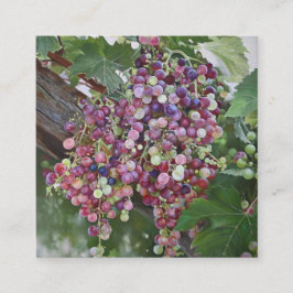 Grapevine Glorie — Hyperrealistische Weinbaukunst Begleitkarte